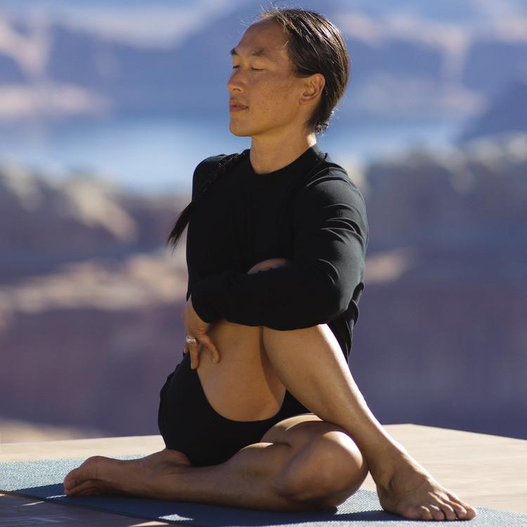 Rodney Yee's Yoga Core Cross Train DVD twist