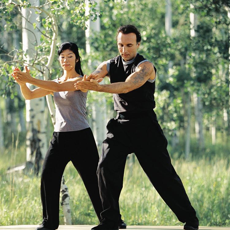 5 Day Fit: Chi DVD with David-Dorian Ross, Gary Garripoli, Daisy Lee-Garripoli, & CJ McPhee woods